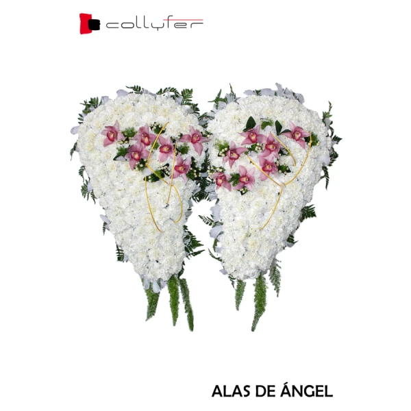 ALAS DE ÁNGEL