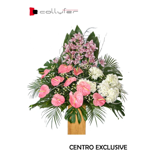 CENTRO EXCLUSIVE