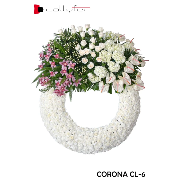 CORONA CL-6