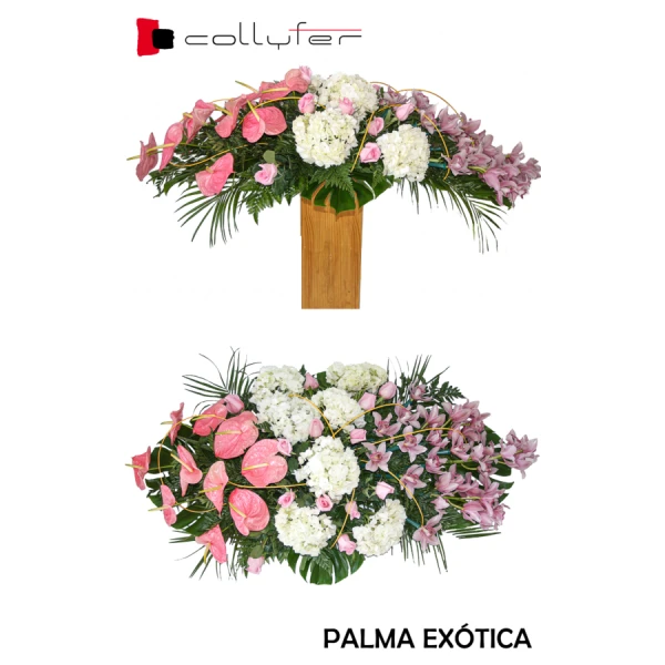 PALMA EXÓTICA